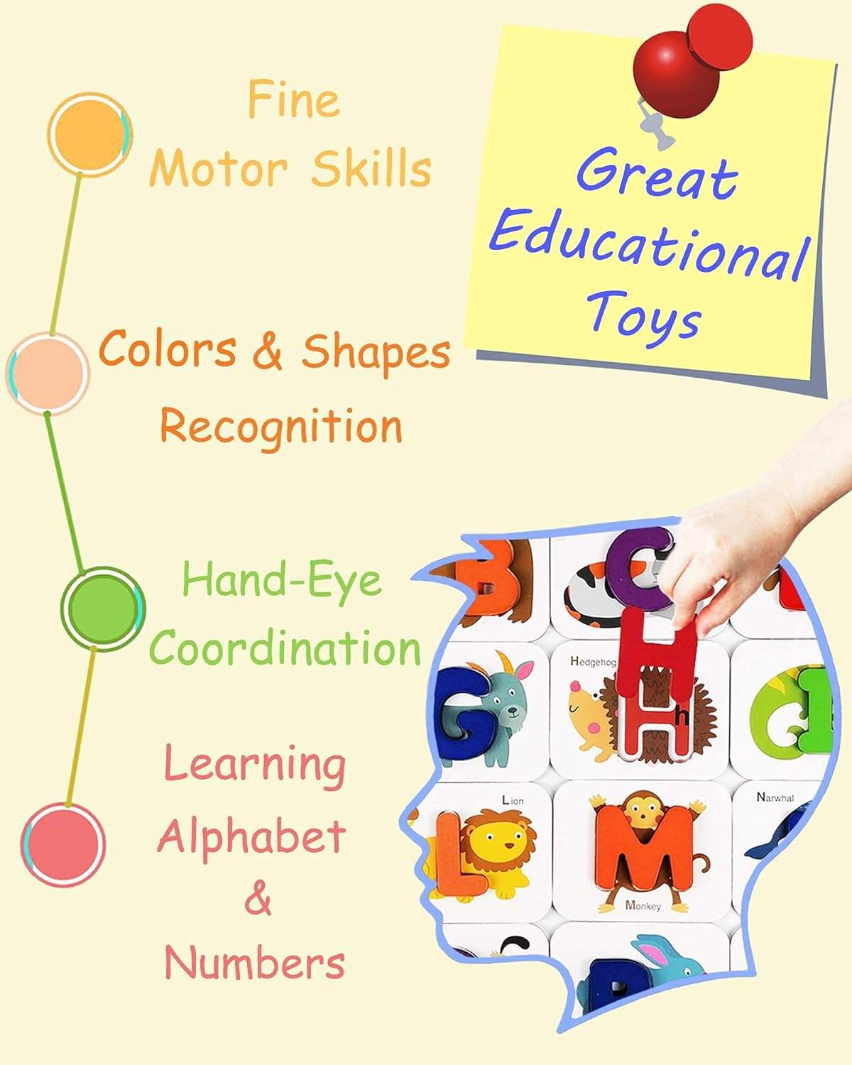 Number & Alphabet Flash Cards for Toddlers 3-5 – ABC Montessori Learning Educational Toy Set for Kids